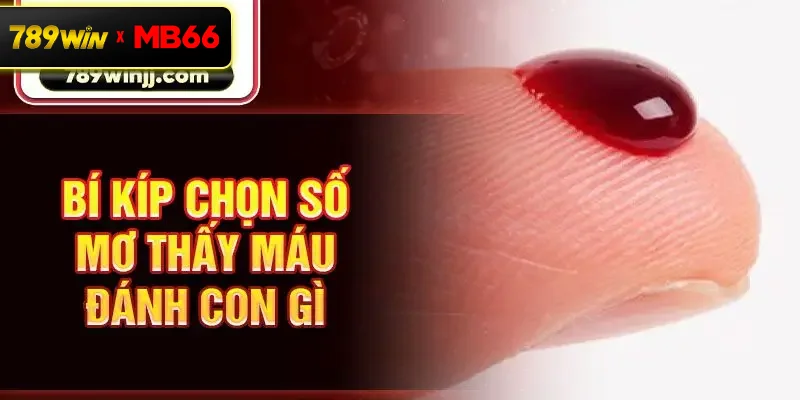 Bí kíp chọn số mơ thấy máu đánh con gì 